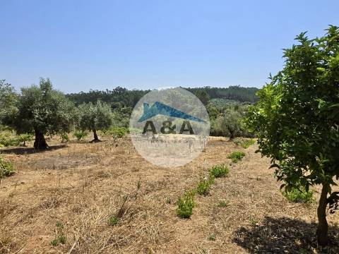 Moradia T3 com 2700m² de terreno – Potencial e Localização Privilegiada