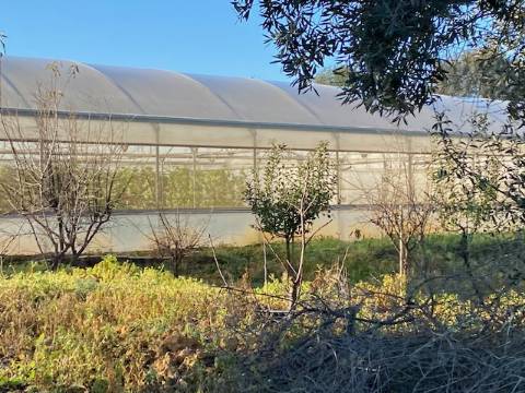 Herdade com Hotel Rural em construção em Albufeira