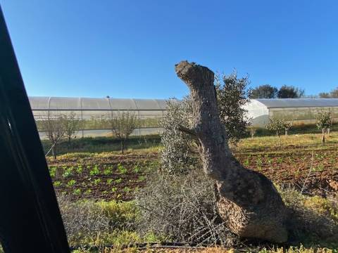 Herdade com Hotel Rural em construção em Albufeira