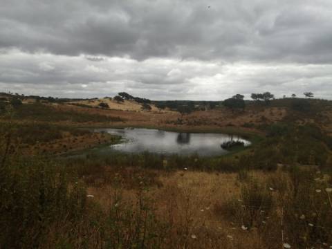 Herdade no Alentejo