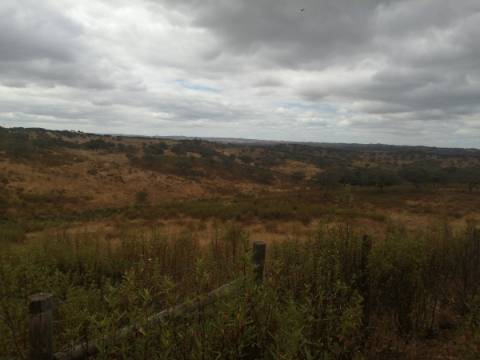 Herdade no Alentejo