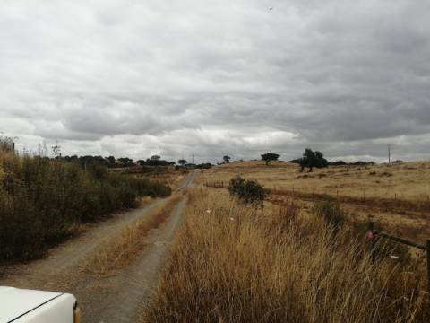Herdade no Alentejo