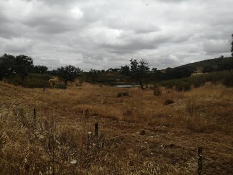 Herdade no Alentejo