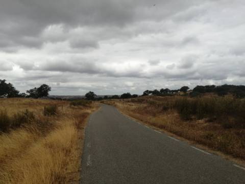 Herdade no Alentejo