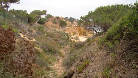 Casa térrea com piscina e vista maravilhosa sobre o mar