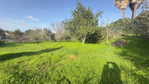 Terreno para construção em Santa Catarina, Loulé