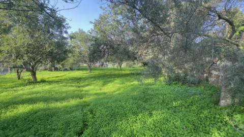 Terreno para construção em Santa Catarina, Loulé