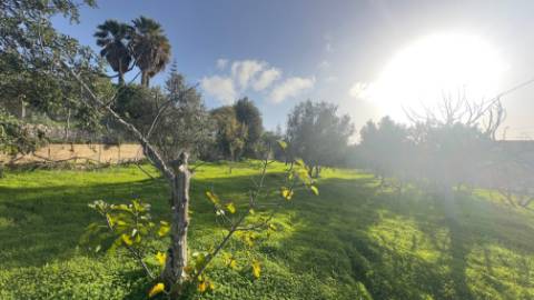 Terreno para construção em Santa Catarina, Loulé
