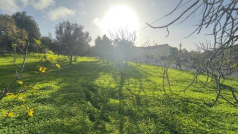 Terreno para construção em Santa Catarina, Loulé