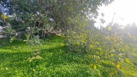 Terreno para construção em Santa Catarina, Loulé