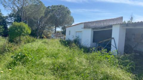 Quintinha em Alcantarilha