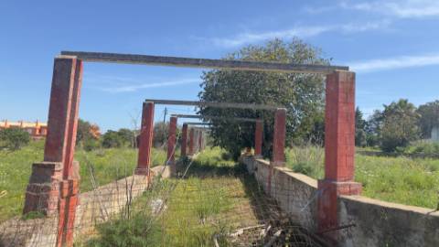 Quintinha em Alcantarilha