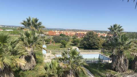 Quintinha em Alcantarilha