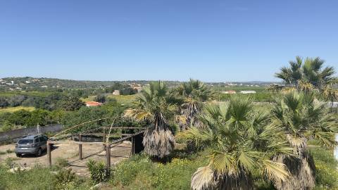 Quintinha em Alcantarilha