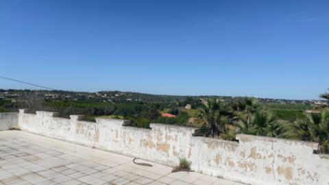 Quintinha em Alcantarilha