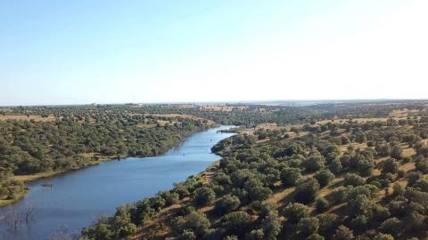 Herdade em Torrão - Setúbal