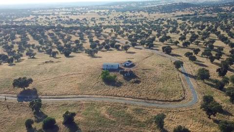 Herdade em Torrão - Setúbal