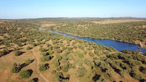 Herdade em Torrão - Setúbal