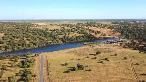 Herdade em Torrão - Setúbal