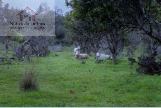 Quinta em Albufeira