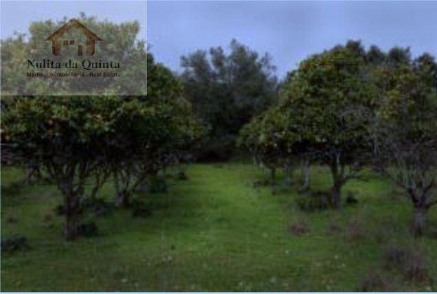 Quinta em Albufeira