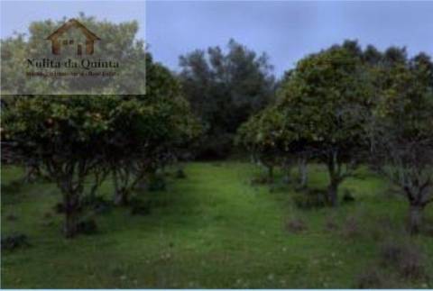 Solar / Quinta em Albufeira