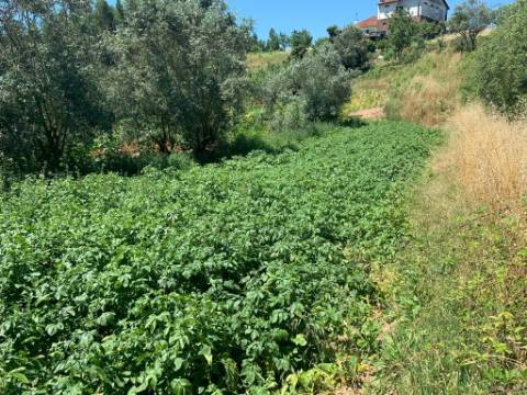 Moradia T5 Venda em Marmeleira,Mortágua