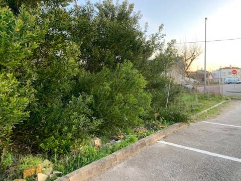 Terreno Para Construção  Venda em São Jacinto,Aveiro