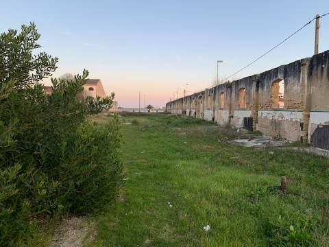 Terreno Para Construção  Venda em São Jacinto,Aveiro