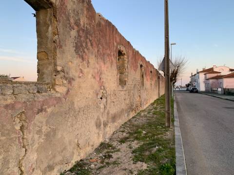 Terreno Para Construção  Venda em São Jacinto,Aveiro
