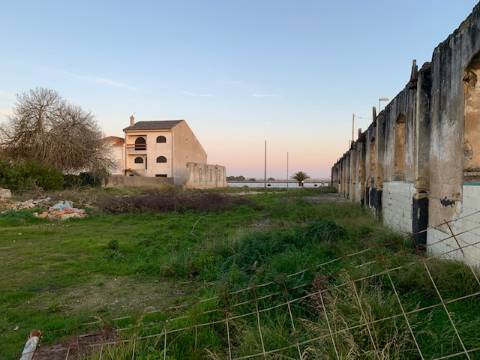 Terreno Para Construção  Venda em São Jacinto,Aveiro