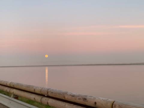Terreno Para Construção  Venda em São Jacinto,Aveiro