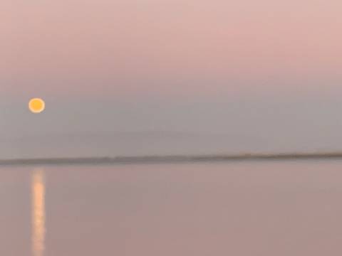 Terreno Para Construção  Venda em São Jacinto,Aveiro