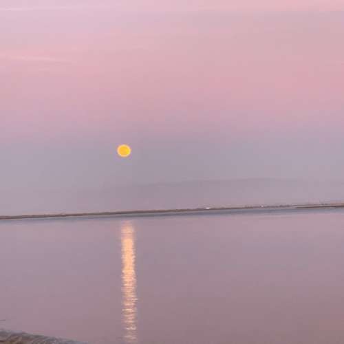 Terreno Para Construção  Venda em São Jacinto,Aveiro