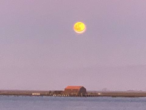 Terreno Para Construção  Venda em São Jacinto,Aveiro