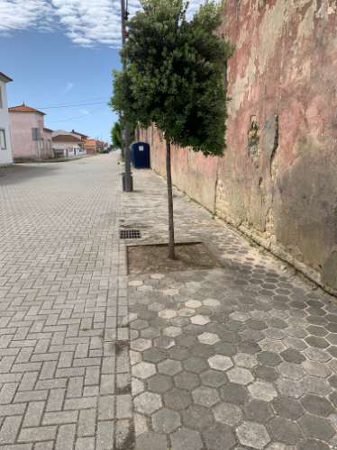 Terreno Para Construção  Venda em São Jacinto,Aveiro