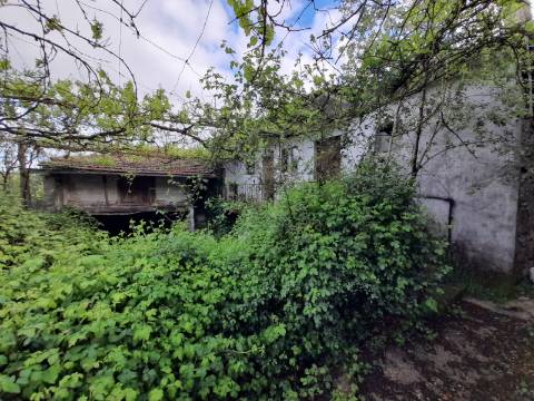 Moradia T4 Venda em Rego,Celorico de Basto