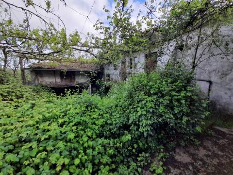 Moradia T4 Venda em Rego,Celorico de Basto