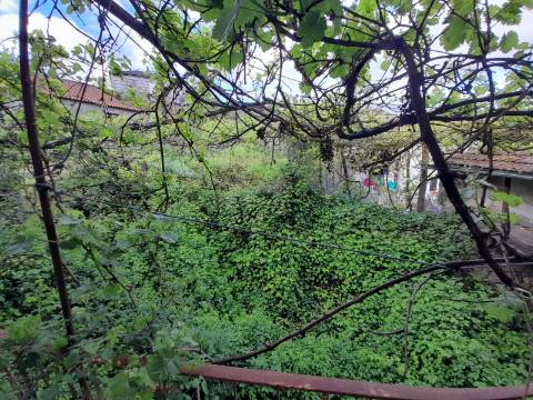 Moradia T4 Venda em Rego,Celorico de Basto