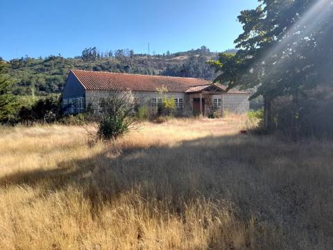 Quinta T5 Venda em Loivos do Monte,Baião