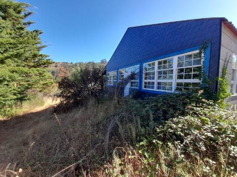 Quinta T5 Venda em Loivos do Monte,Baião