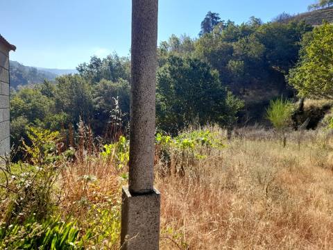 Quinta T5 Venda em Loivos do Monte,Baião