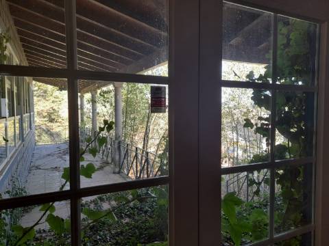 Quinta T5 Venda em Loivos do Monte,Baião