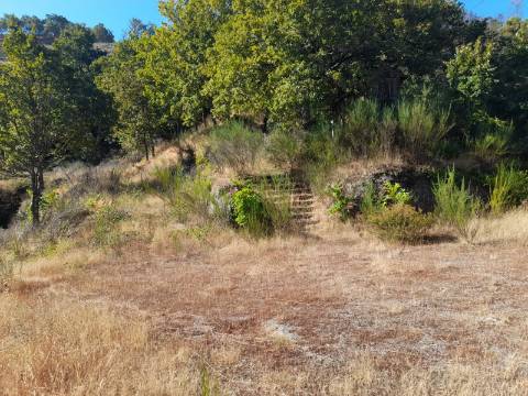 Quinta T5 Venda em Loivos do Monte,Baião