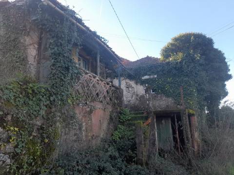 Moradia T3 Venda em Reriz e Gafanhão,Castro Daire