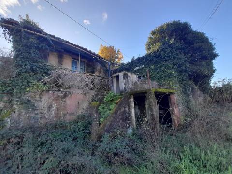 Moradia T3 Venda em Reriz e Gafanhão,Castro Daire