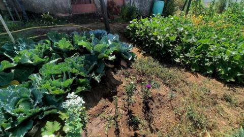 Moradia T4 Com terreno circundante | 2 pisos | Douro Vinhateiro | Régua | Canelas