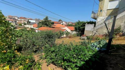 Moradia T4 Com terreno circundante | 2 pisos | Douro Vinhateiro | Régua | Canelas