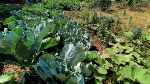 Moradia T4 Com terreno circundante | 2 pisos | Douro Vinhateiro | Régua | Canelas