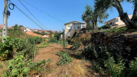Moradia T4 Com terreno circundante | 2 pisos | Douro Vinhateiro | Régua | Canelas